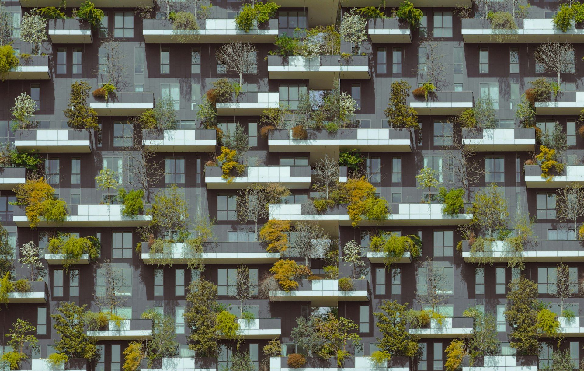 Building Value and Security: Climate-Resilient Housing Design in Modern Real Estate