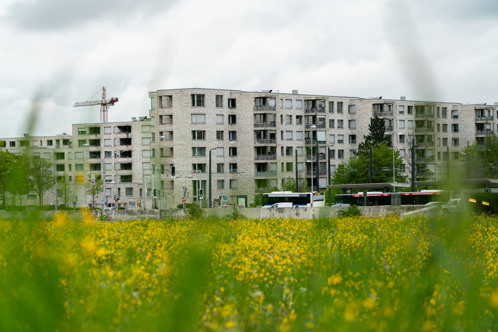 Unlocking Sustainable Living: How Suburban Developments Are Redefining Eco-Friendly Communities