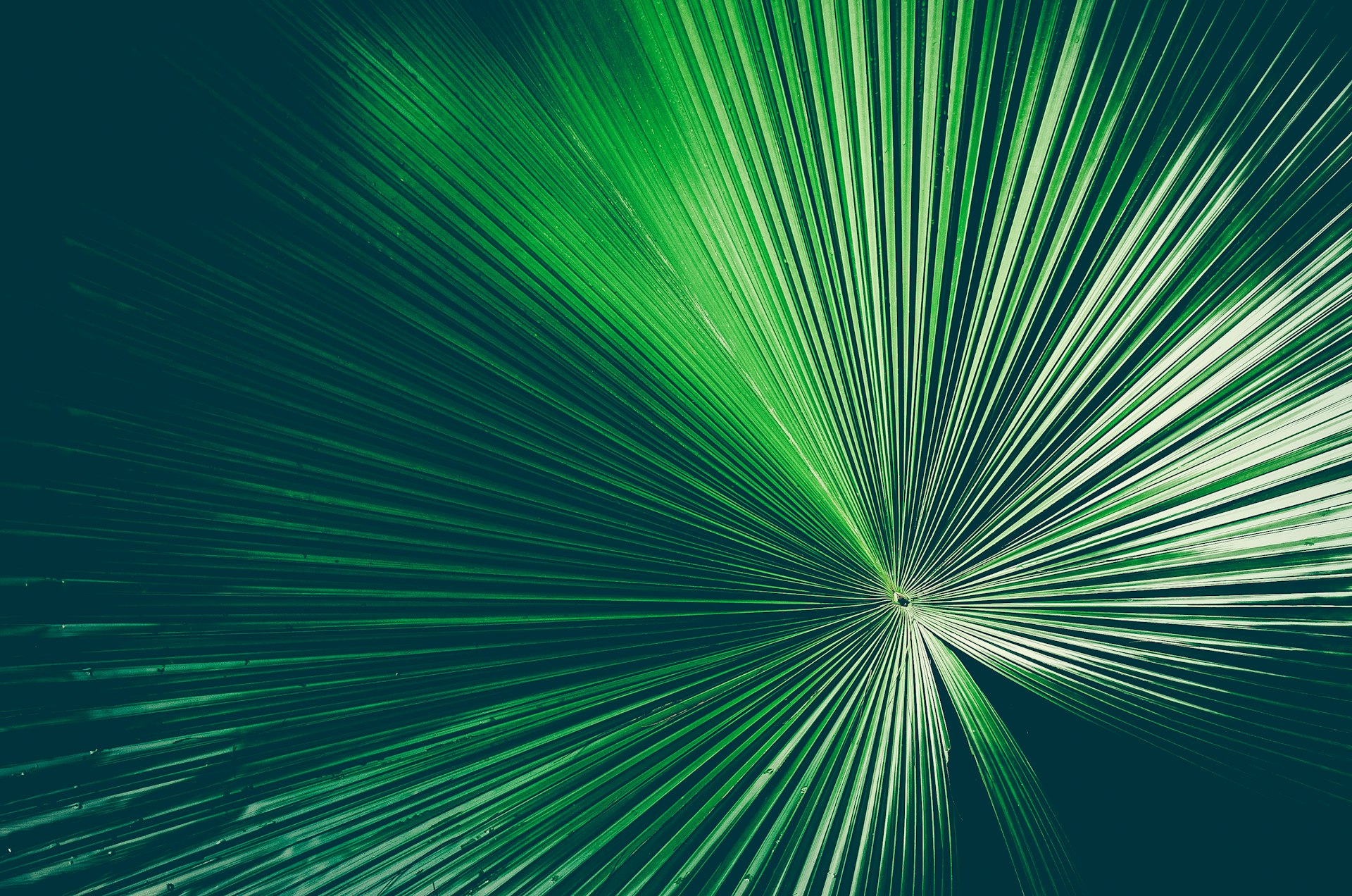 Emerging Opportunities in Green Bonds: Trends, Innovation, and Access in 2025
