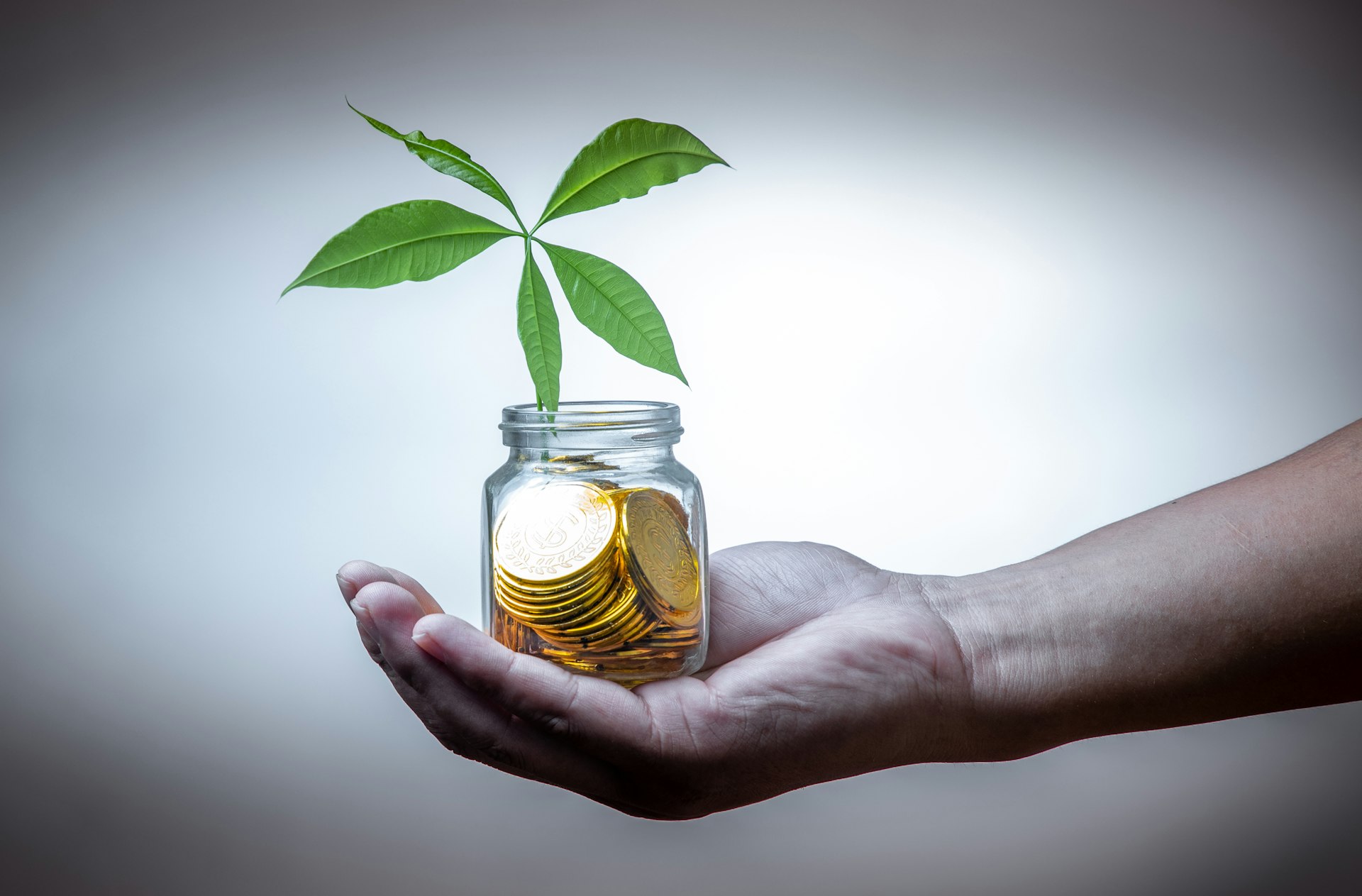 Unlocking Social Impact: The Strategic Value of Philanthropic Investing